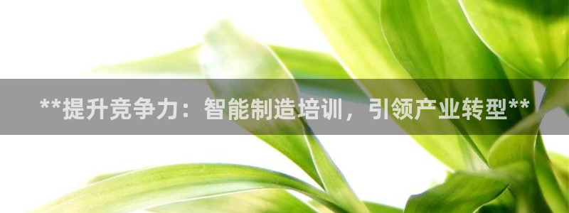 彩神v8手机客户端怎么下载