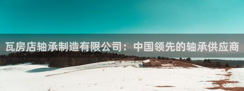彩神Vll：瓦房店轴承制造有限公司：中国领先的轴承供应商