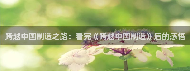 彩神争霸老平台：跨越中国制造之路：看完《跨越中国制造》后的感悟