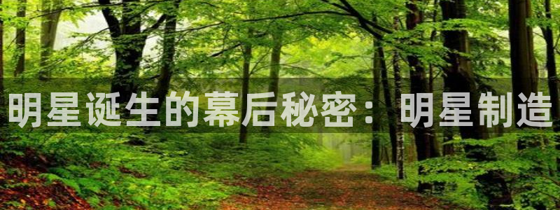 彩神平台是真的吗：明星诞生的幕后秘密：明星制造