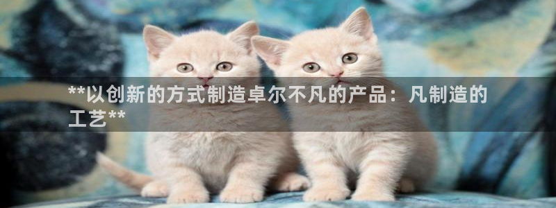 彩神官方网站登录是多少：**以创新的方式制造卓尔不凡的产品：凡制造的
工艺**