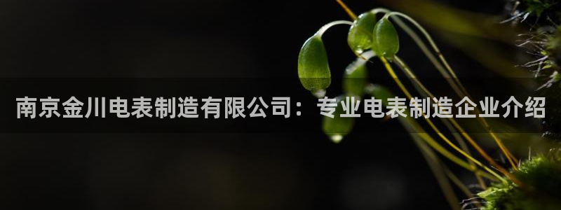 彩神vlll官方网：南京金川电表制造有限公司：专业电表制造企业介绍
