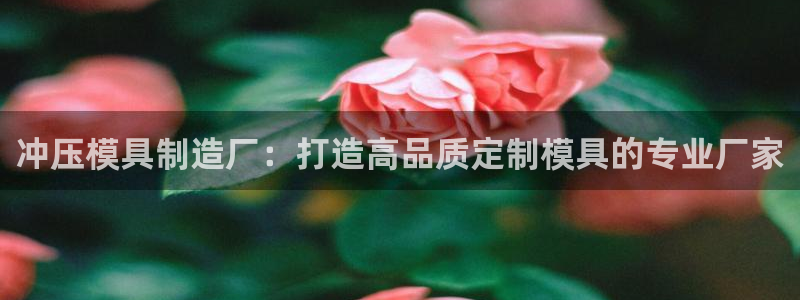 彩神vⅲ下载安装：冲压模具制造厂：打造高品质定制模具的专业厂