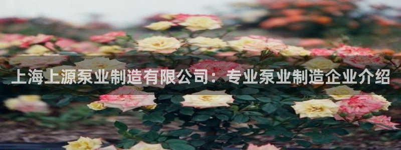 彩神的邀请码是多少：上海上源泵业制造有限公司：专业泵业制造企业介绍