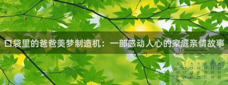 彩神8是正规平台吗知乎：口袋里的爸爸美梦制造机：一部感动人心的家庭亲情故事