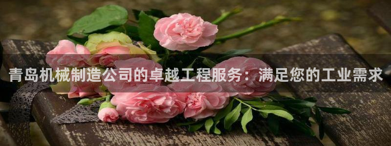 彩神v8购彩大厅登：青岛机械制造公司的卓越工程服务：满足您的工业需求