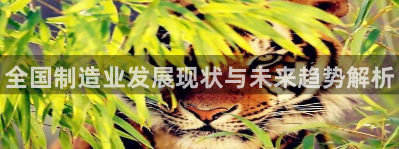 彩神8是正规平台吗：全国制造业发展现状与未来趋势解析