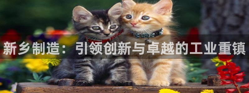 彩神通关注码金码对应码：新乡制造：引领创新与卓越的工业重镇