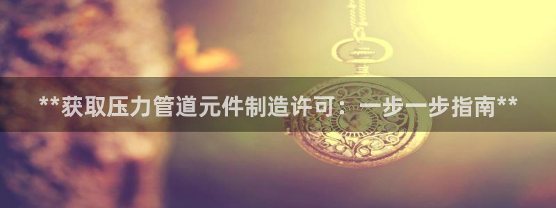 彩神v8几个版本：**获取压力管道元件制造许可：一步一步指南**