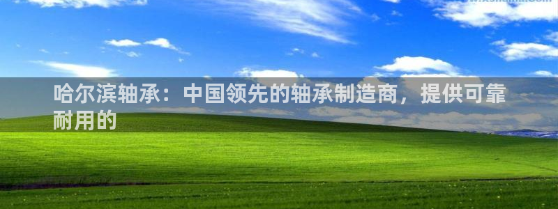 下载彩神v8：哈尔滨轴承：中国领先的轴承制造商，提供可靠
耐