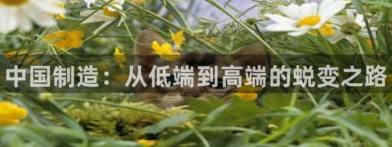 彩神v8下载