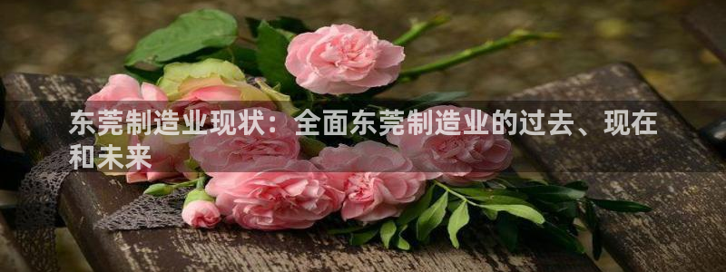彩神盈利图片：东莞制造业现状：全面东莞制造业的过去、现在
和未来