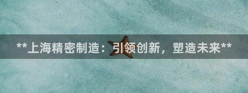 彩神vip购彩大厅：**上海精密制造：引领创新，塑造未来**