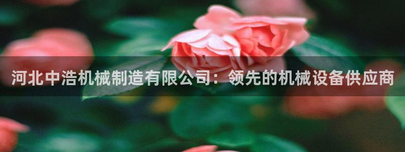 彩神大发如何观察走势：河北中浩机械制造有限公司：领先的机械设备供应商