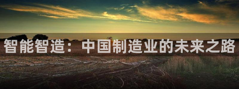 下载彩神v8：智能智造：中国制造业的未来之路