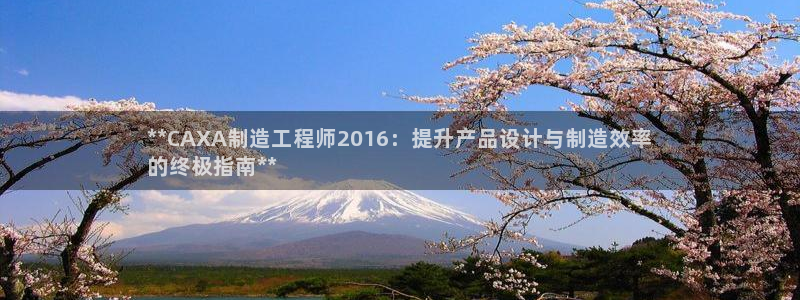 彩神ix能赚钱吗：**CAXA制造工程师2016：提升产品设计与制造效率
的终极指南**