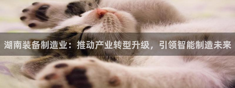 彩神v8是真的挣钱吗知乎