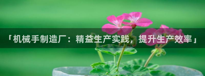 下载彩神v8：「机械手制造厂：精益生产实践，提升生产效率」