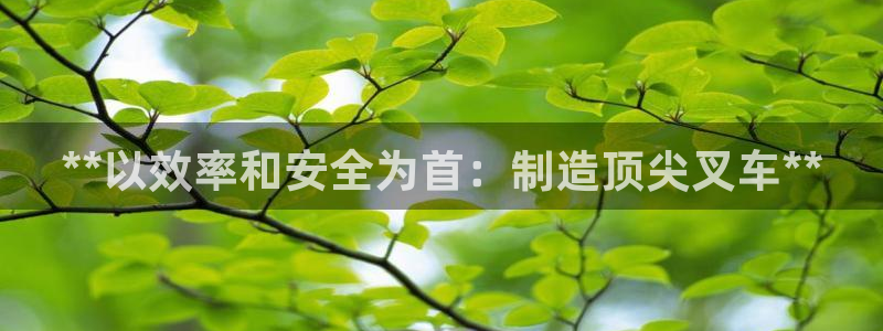 彩神vlll官网网上购彩：**以效率和安全为首：制造顶尖叉车**