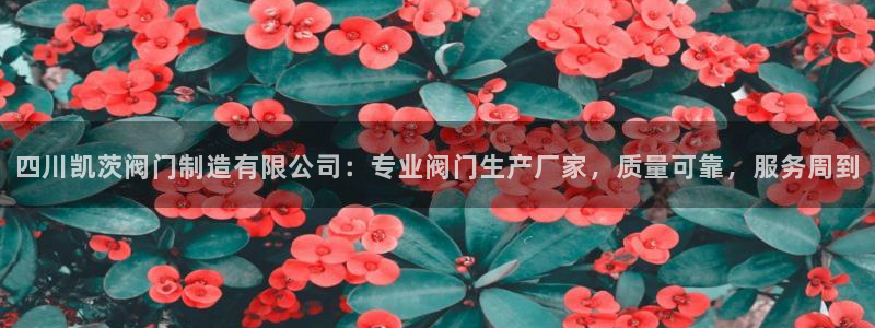 彩神争霸平台：四川凯茨阀门制造有限公司：专业阀门生产厂家，质量可靠，服务周到