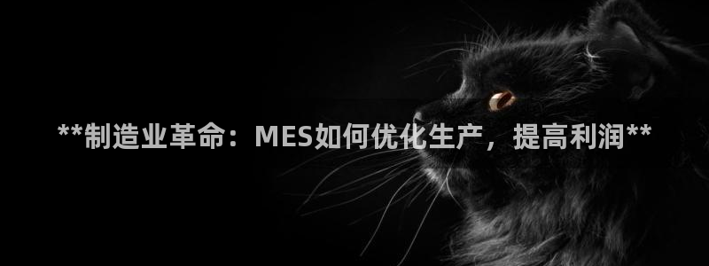 彩神vll购彩大厅：**制造业革命：MES如何优化生产，提高利润**