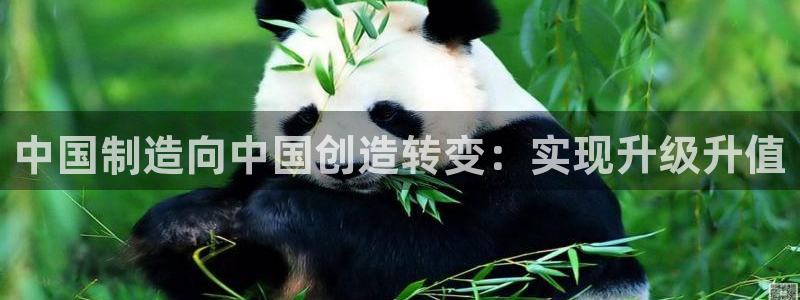彩神这个平台是真的吗：中国制造向中国创造转变：实现升级升值