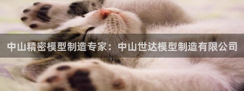 彩神网可以赚钱是真的吗：中山精密模型制造专家：中山世达模型制造有限公司