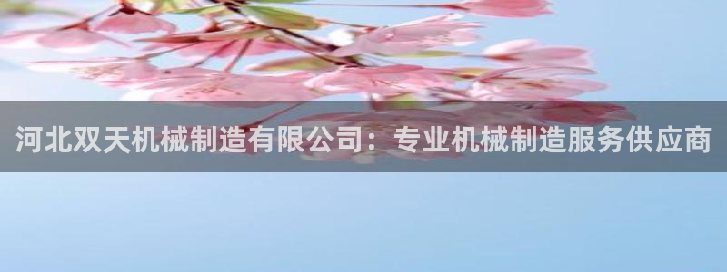 彩神大发三期计划网站：河北双天机械制造有限公司：专业机械制造服务供应商