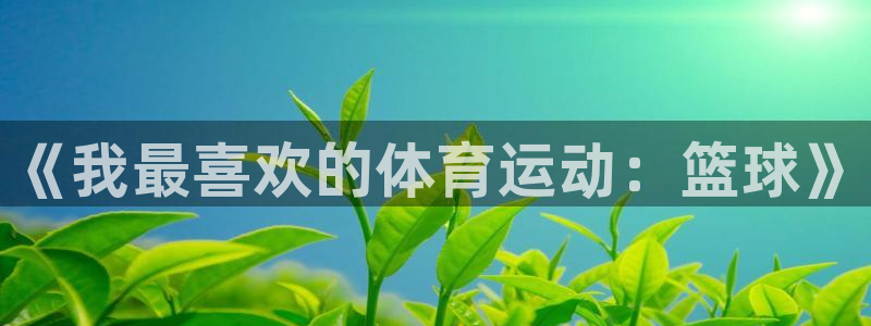 ug环球官网：《我最喜欢的体育运动：篮球》