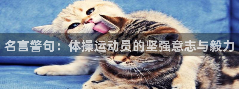 菲律宾ug环球官网：名言警句：体操运动员的坚强意志与毅力