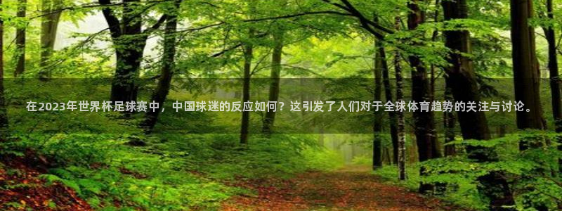 ug环球官网注册：在2023年世界杯足球赛中，中国球迷的反应如何？这引发了人们对于全球体育趋势的关注与讨论。