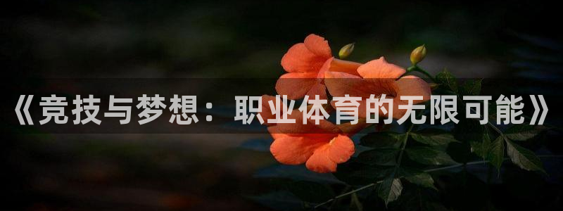 ug环球官网：《竞技与梦想：职业体育的无限可能》