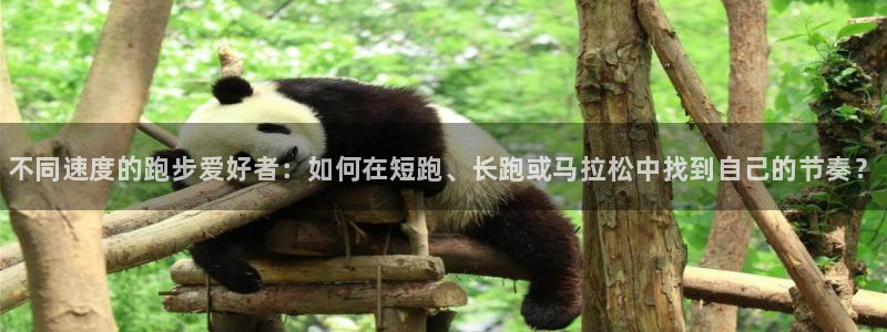 ug环球官网登录入口：不同速度的跑步爱好者：如何在短跑、长跑或马拉松中找到自己的节奏？