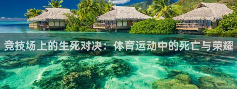 ug环球官网登录入口：竞技场上的生死对决：体育运动中的死亡与荣耀
