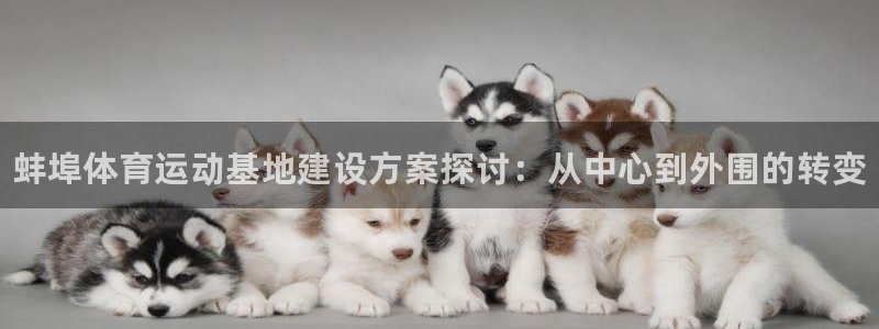 ug环球官网：蚌埠体育运动基地建设方案探讨：从中心到外围的转变