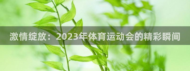 ug环球官网：激情绽放：2023年体育运动会的精彩瞬间
