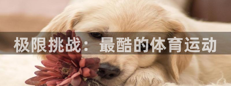 ug环球官网登录入口：极限挑战：最酷的体育运动