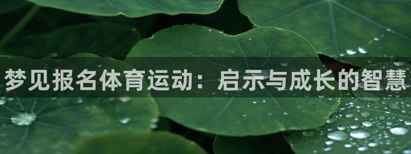 ug环球官网登录入口：梦见报名体育运动：启示与成长的智慧