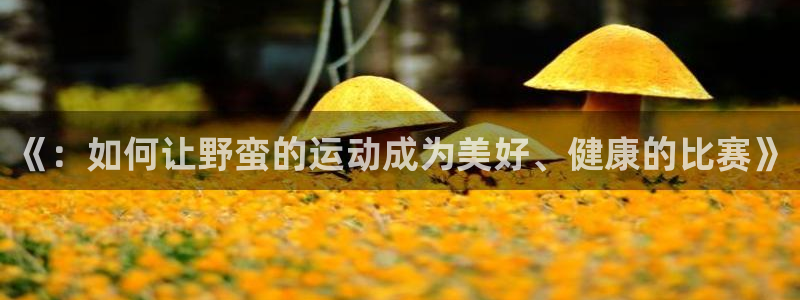 ug环球官网：《：如何让野蛮的运动成为美好、健康的比赛》