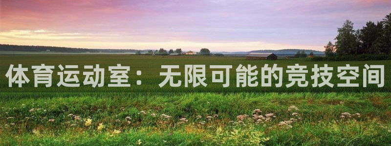ug环球官网注册：体育运动室：无限可能的竞技空间