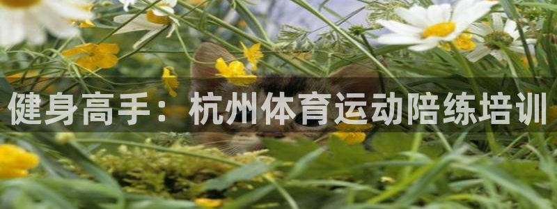 ug环球官网登录入口：健身高手：杭州体育运动陪练培训