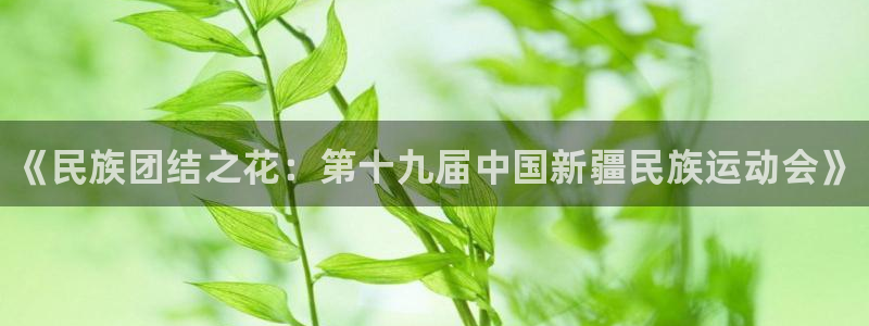 ug环球官网注册：《民族团结之花：第十九届中国新疆民族运动会》