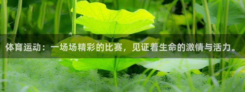 菲律宾ug环球官网：体育运动：一场场精彩的比赛，见证着生命的激情与活力。