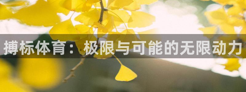 ug环球官网注册：搏标体育：极限与可能的无限动力