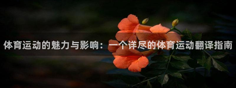 ug环球官网登录入口：体育运动的魅力与影响：一个详尽的体育运动翻译指南