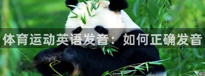 ug环球官网：体育运动英语发音：如何正确发音
