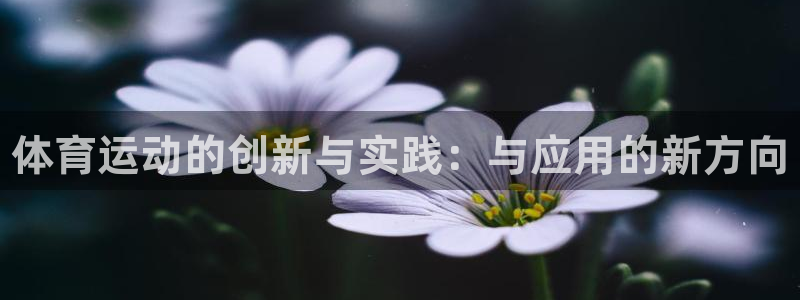 ug环球官网注册：体育运动的创新与实践：与应用的新方向