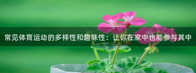 ug环球官网登录入口：常见体育运动的多样性和趣味性：让你在家中也能参与其中