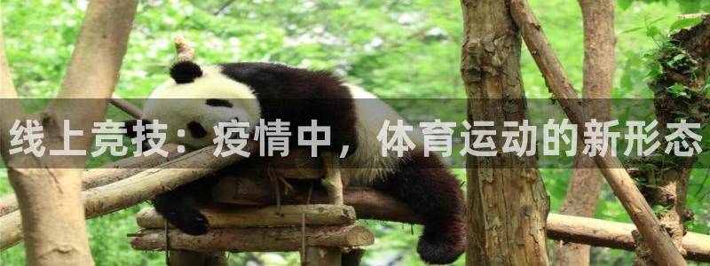ug环球官网
