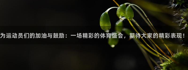 ug环球官网注册：为运动员们的加油与鼓励：一场精彩的体育盛会，期待大家的精彩表现！